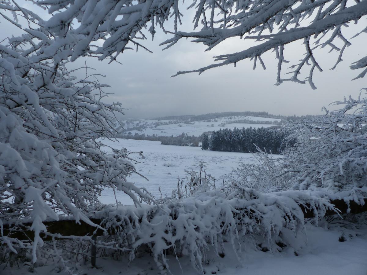 Berggasthof Zum Steira Schotten Bagian luar foto